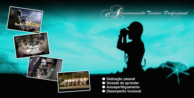 Aprimoramento Técnico-Profissional